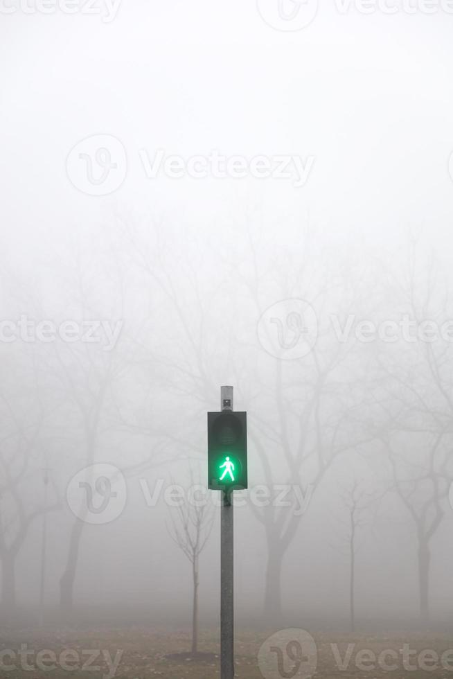 Trafic lights in the foggy winter day photo