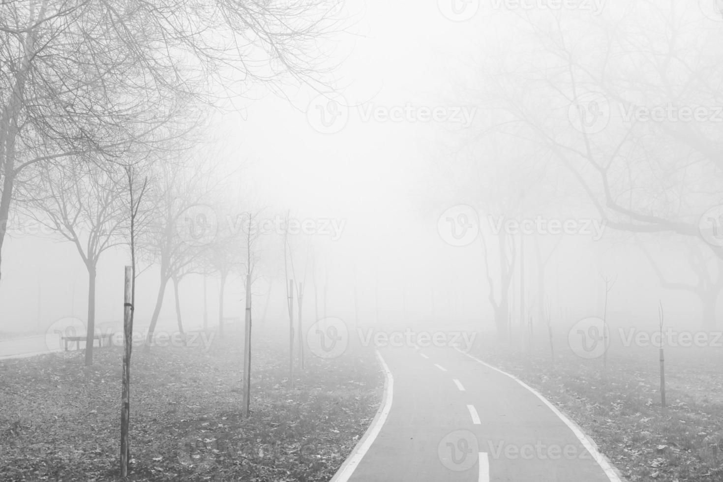 Bike path in the foggy winter day photo