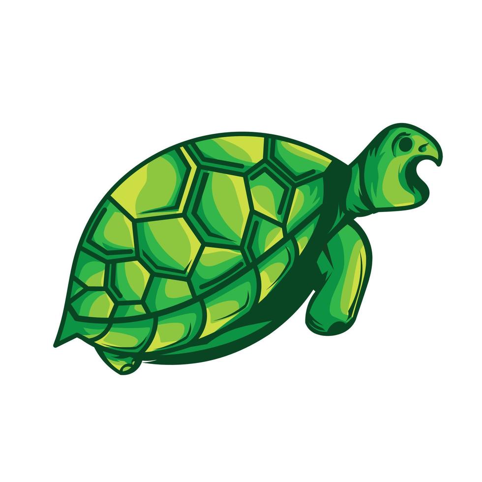 ilustración vectorial, animal tortuga, verde vector