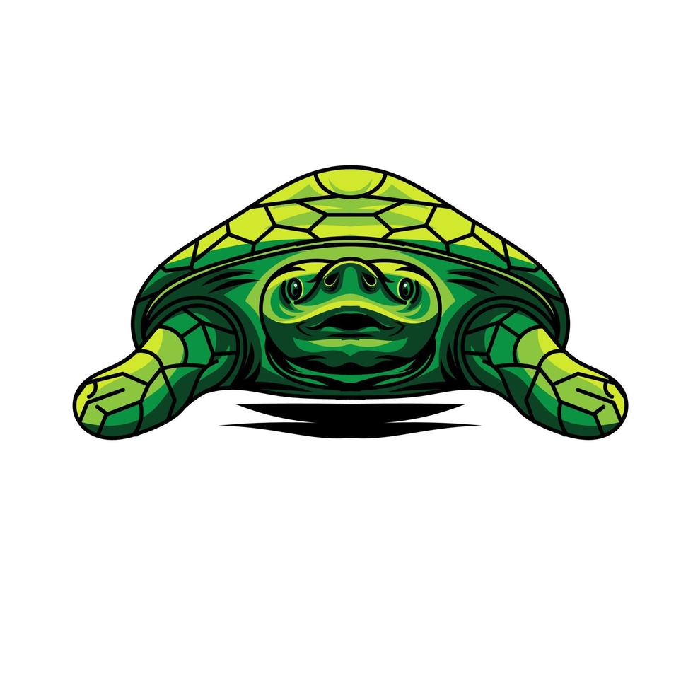 vector illustration, turtle animal, green