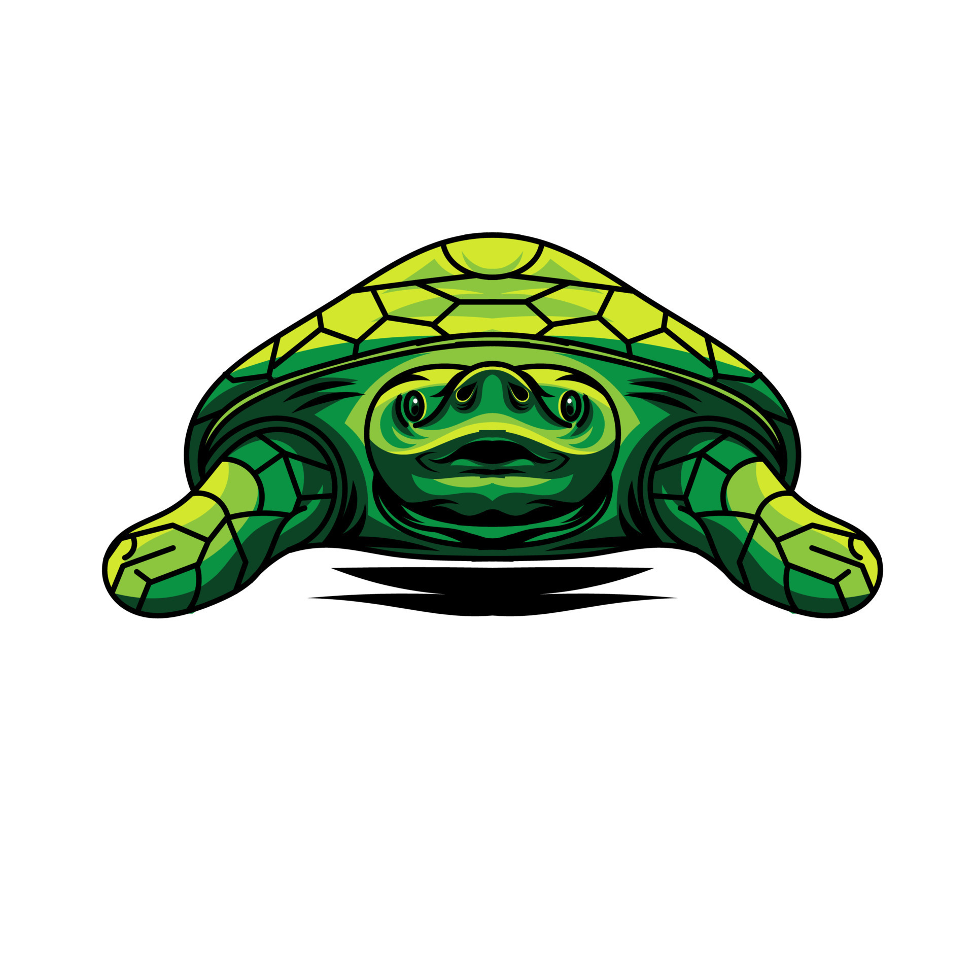 vector illustration, turtle animal, green 7861165 Vector Art at Vecteezy
