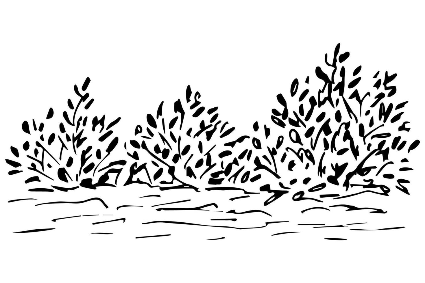 Hand-drawn simple vector illustration with black outline. Element of nature, vegetation, bushes, trees, plants. Landscape, summer.