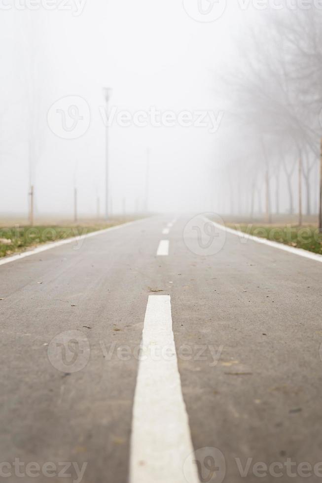 Bike path in the foggy winter day photo