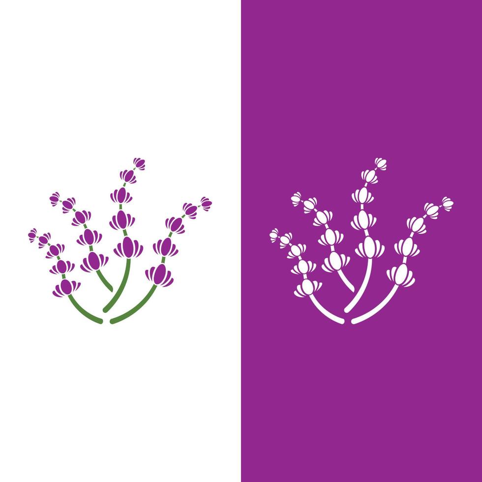 vector de logotipo de flor de lavanda fresca