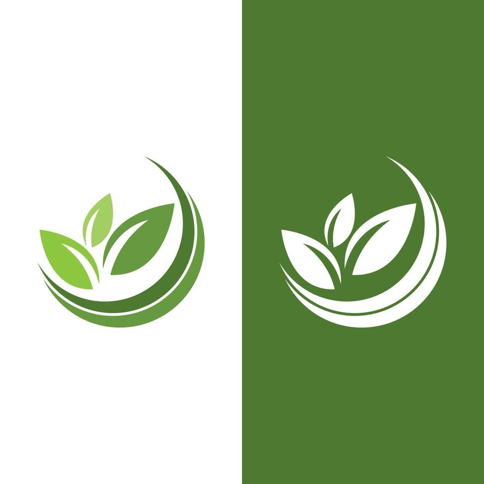 Logos of green Tree leaf ecology vector