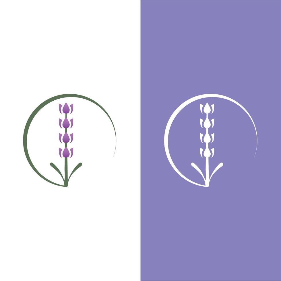 vector de logotipo de flor de lavanda fresca