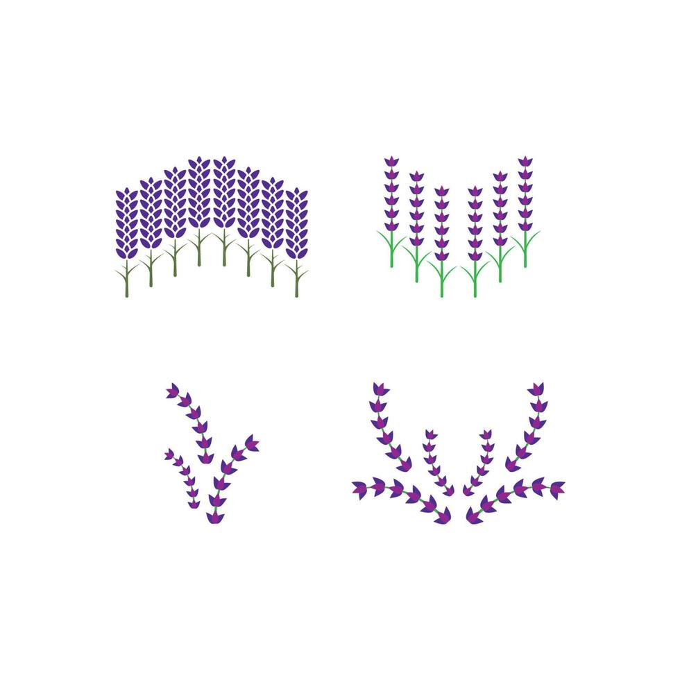 vector de logotipo de flor de lavanda fresca