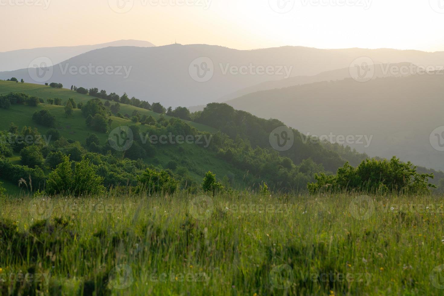 landscape nature summer photo