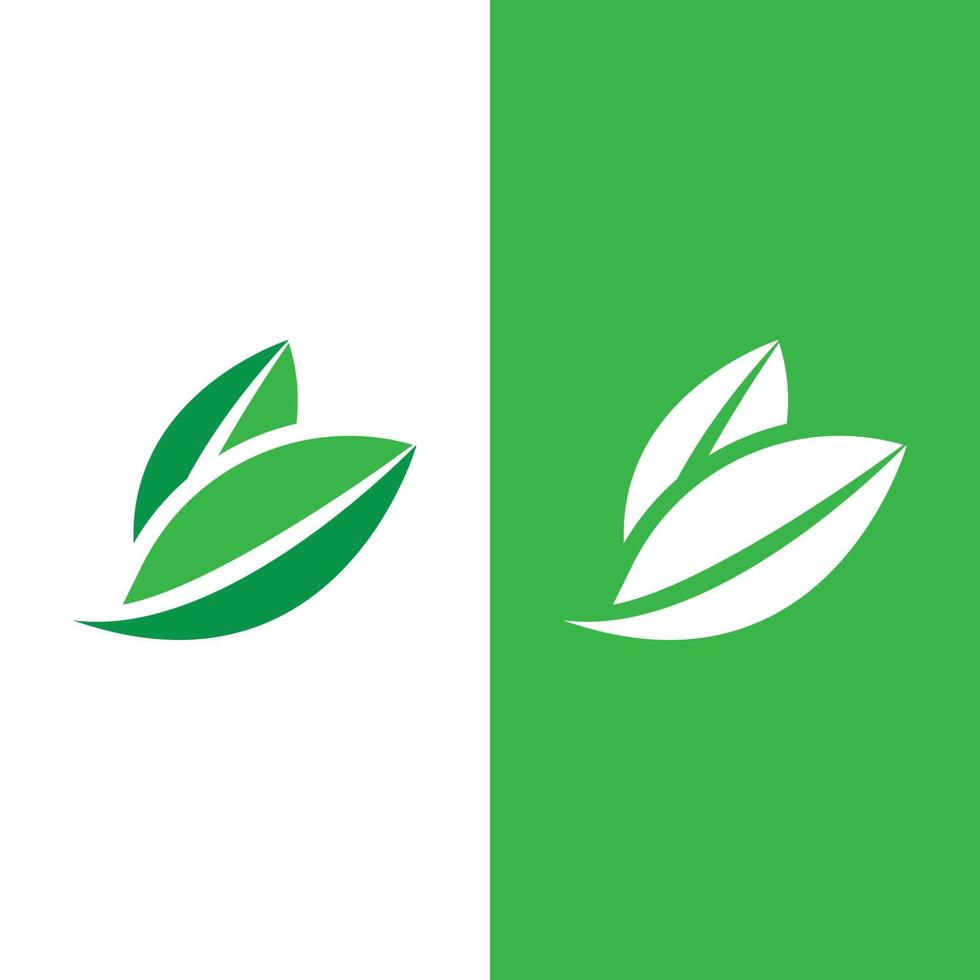 logotipos de la ecología de la hoja del árbol verde vector