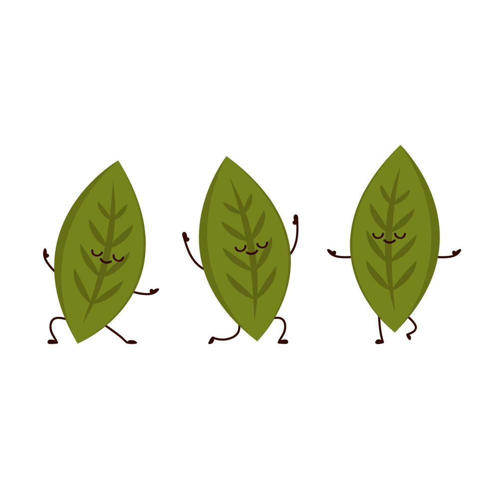 carácter de hojas de té. hojas de té sobre fondo blanco. fondo de pantalla. diseño de personajes matcha. vector