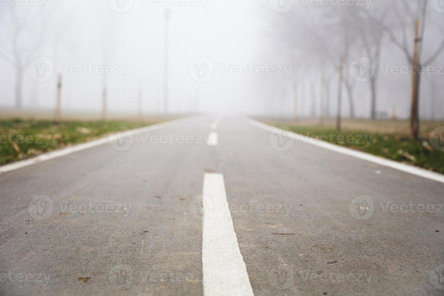 Bike path in the foggy winter day photo