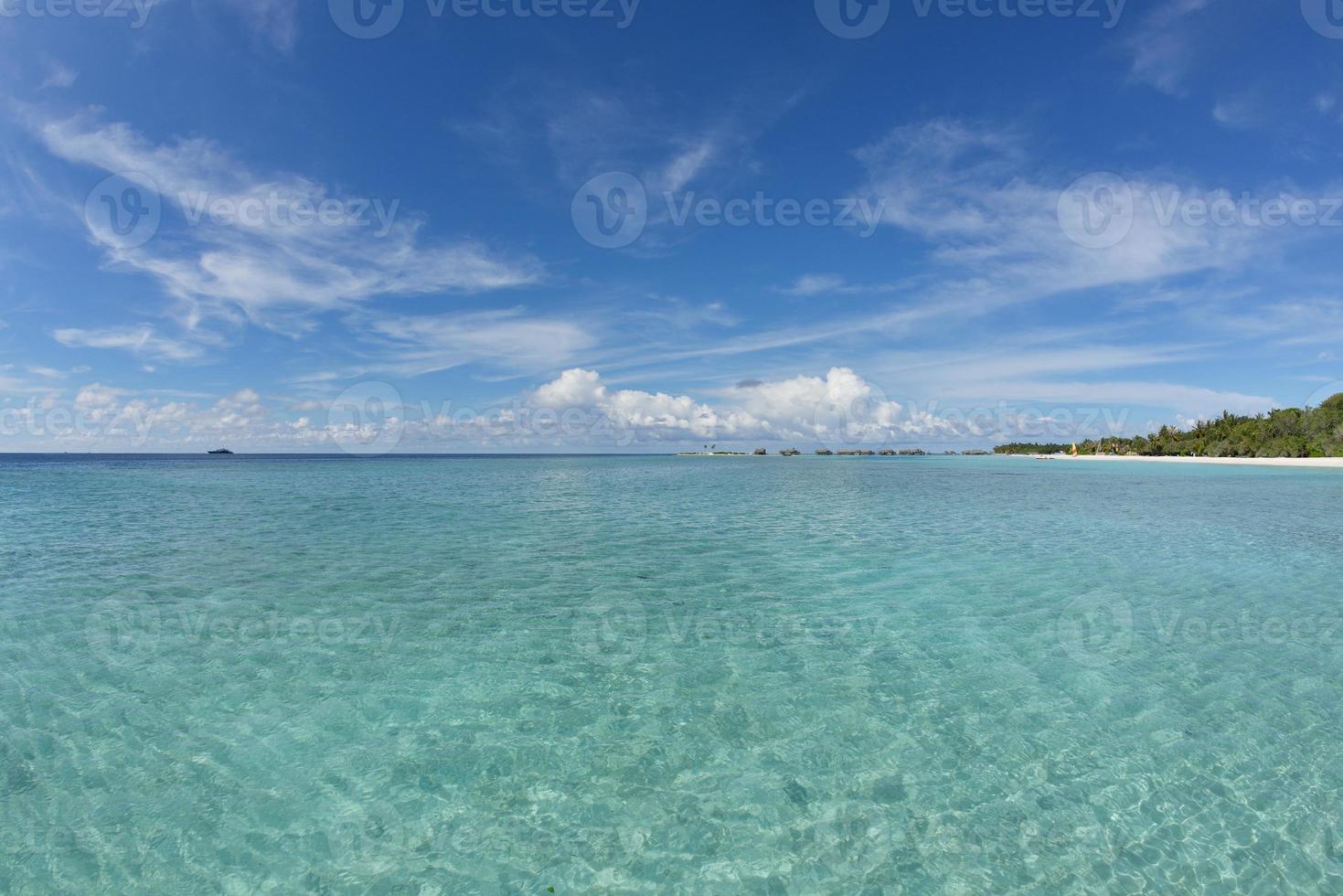 tropical beach landscape photo