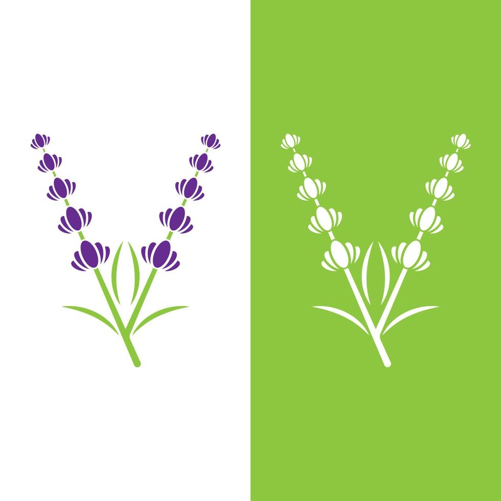Fresh Lavender flower logo vector