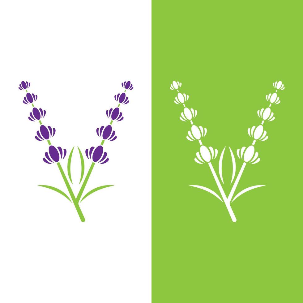 vector de logotipo de flor de lavanda fresca