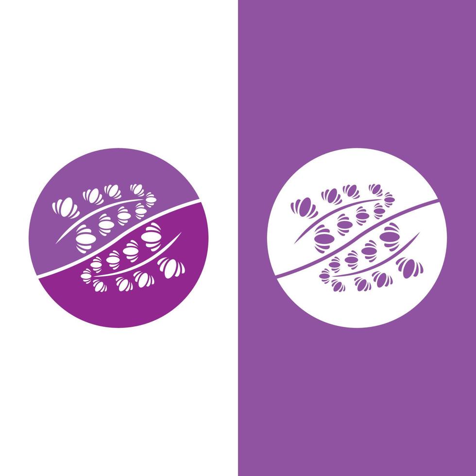 vector de logotipo de flor de lavanda fresca