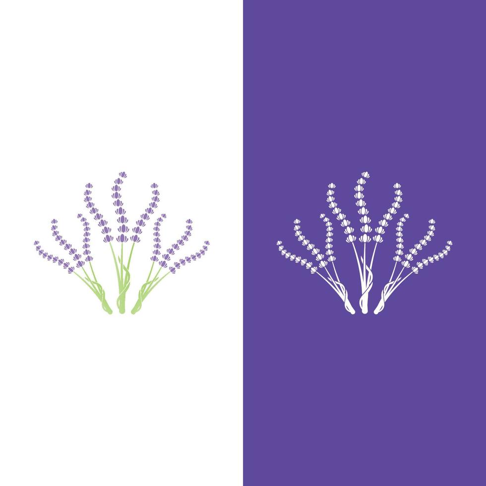 vector de logotipo de flor de lavanda fresca