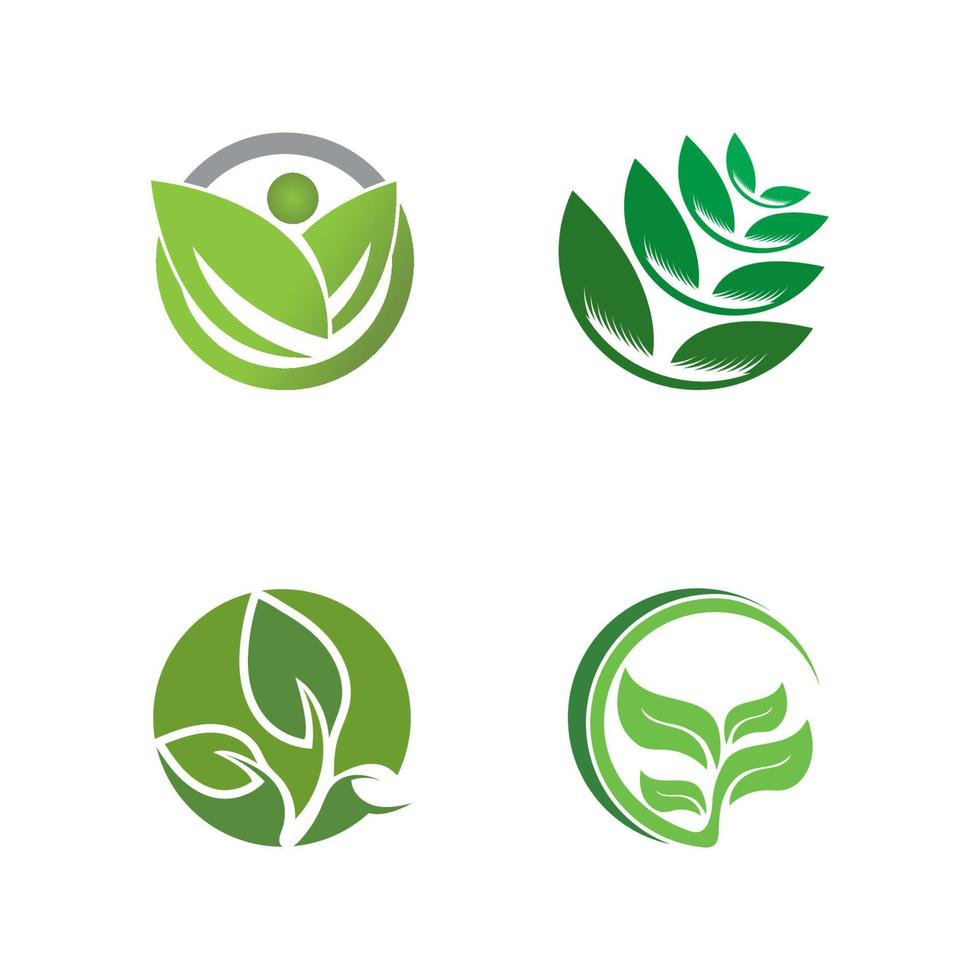 Logos of green Tree leaf ecology vector