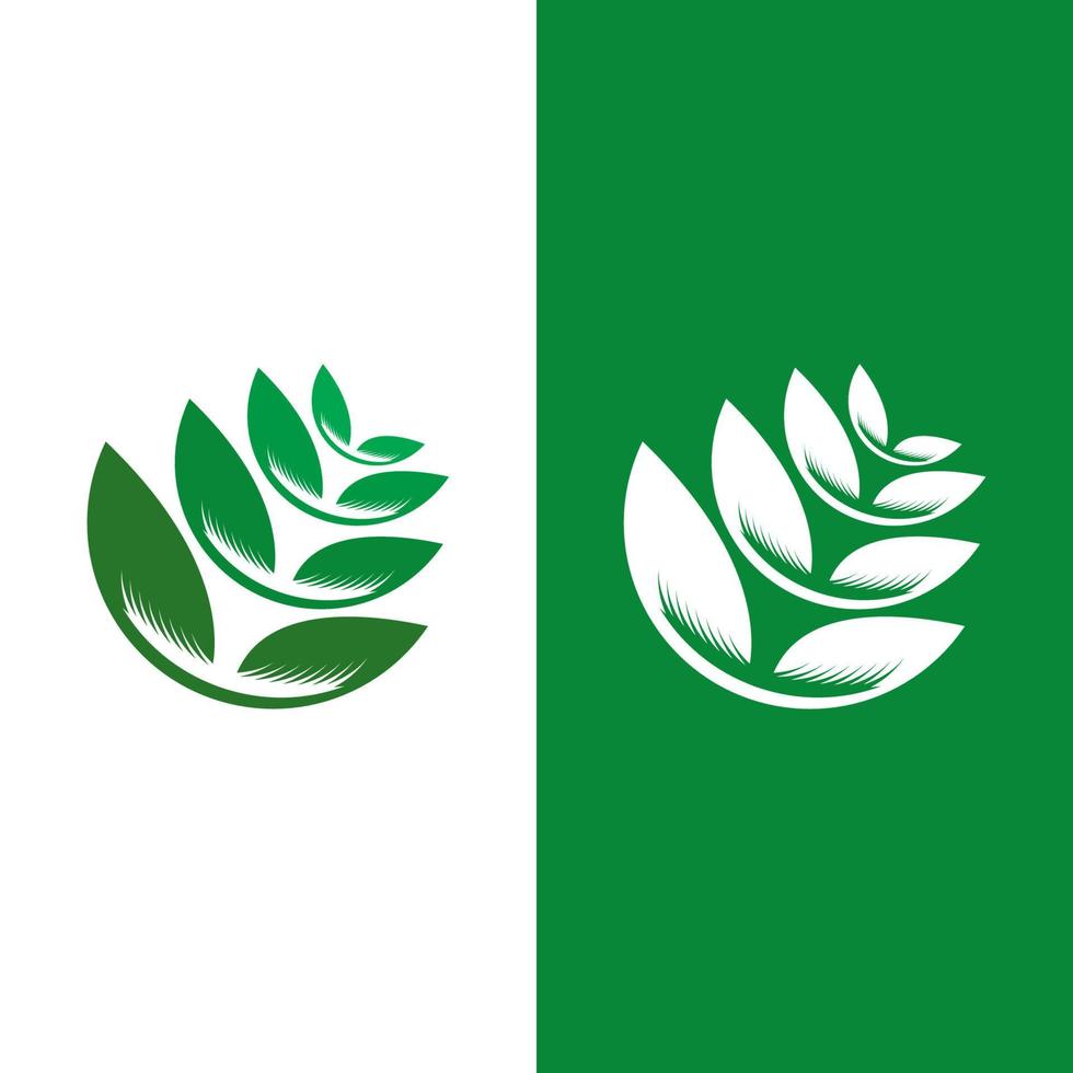 logotipos de la ecología de la hoja del árbol verde vector