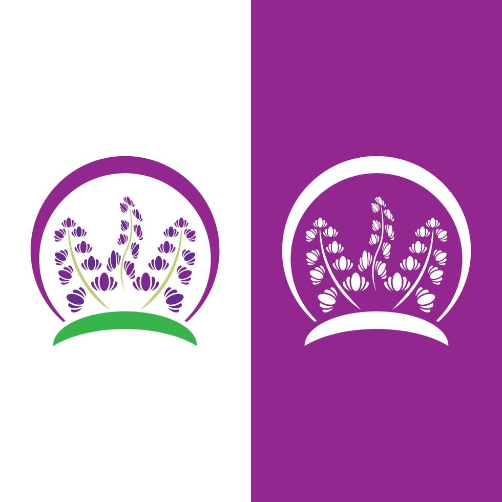 vector de logotipo de flor de lavanda fresca