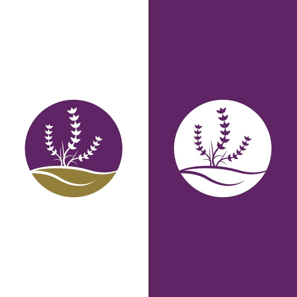 Fresh Lavender flower logo vector