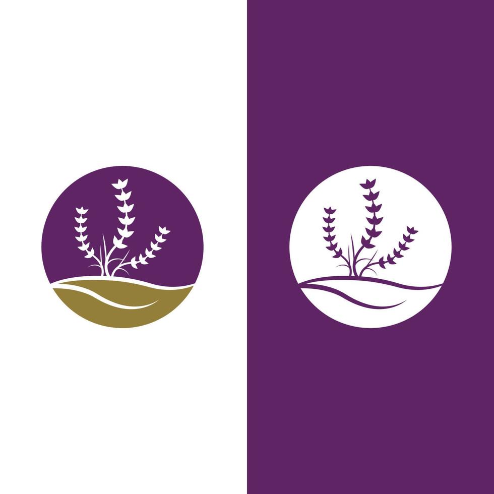 vector de logotipo de flor de lavanda fresca