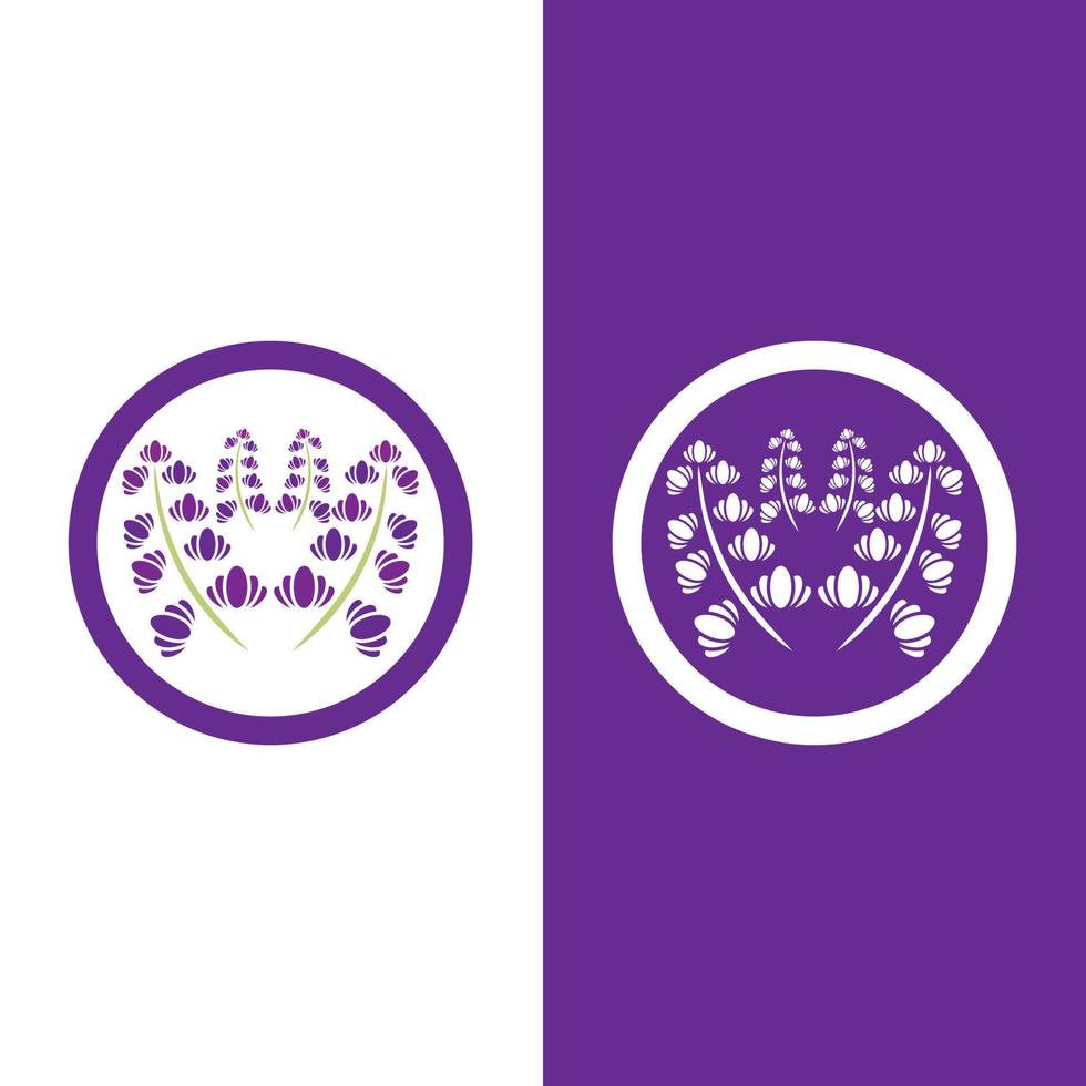 vector de logotipo de flor de lavanda fresca