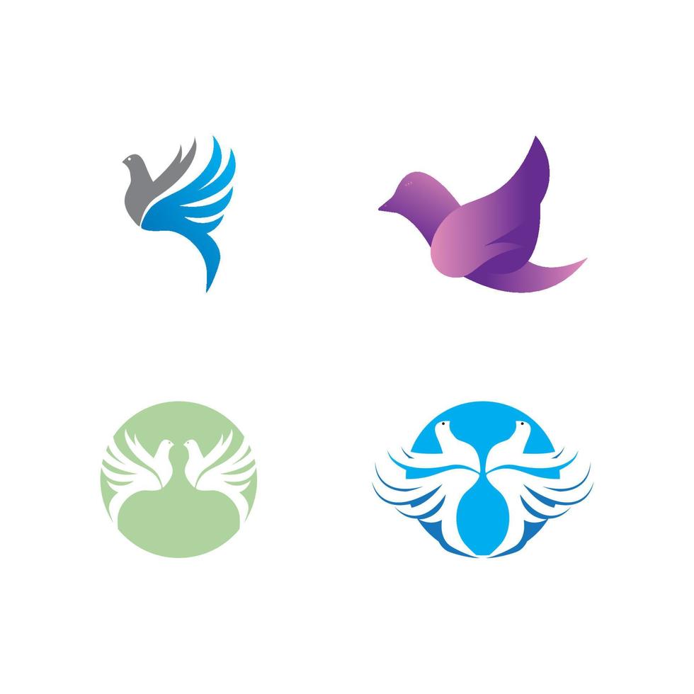 diseño de vector de logotipo de pájaro de paloma