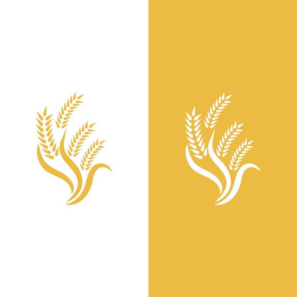 Wheat logo vector icon illustration