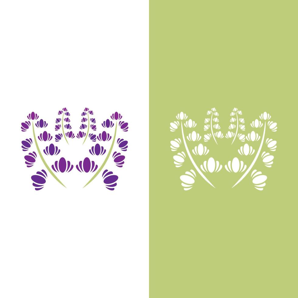 vector de logotipo de flor de lavanda fresca