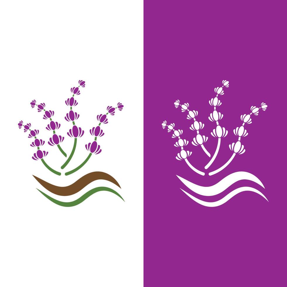 Fresh Lavender flower logo vector