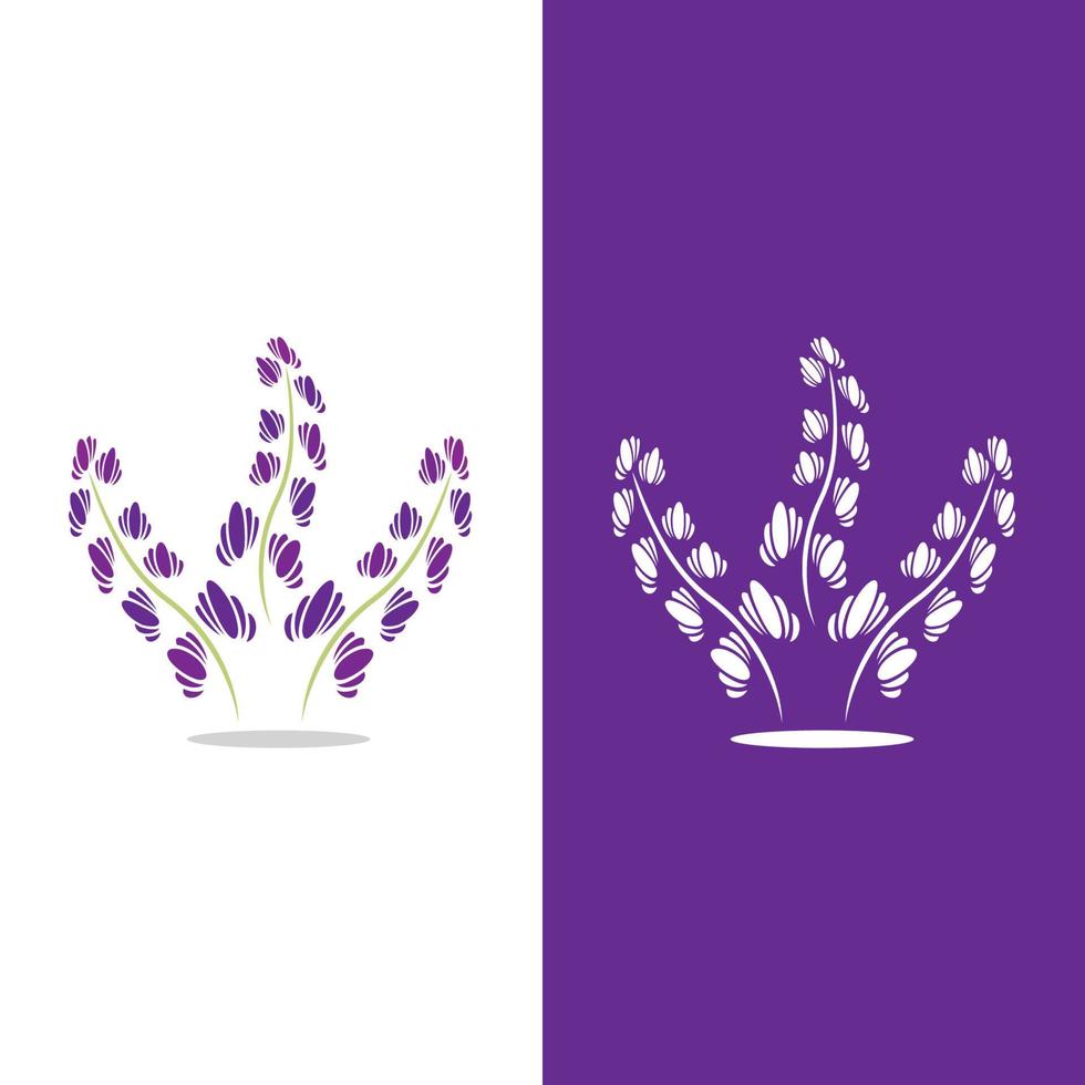 vector de logotipo de flor de lavanda fresca