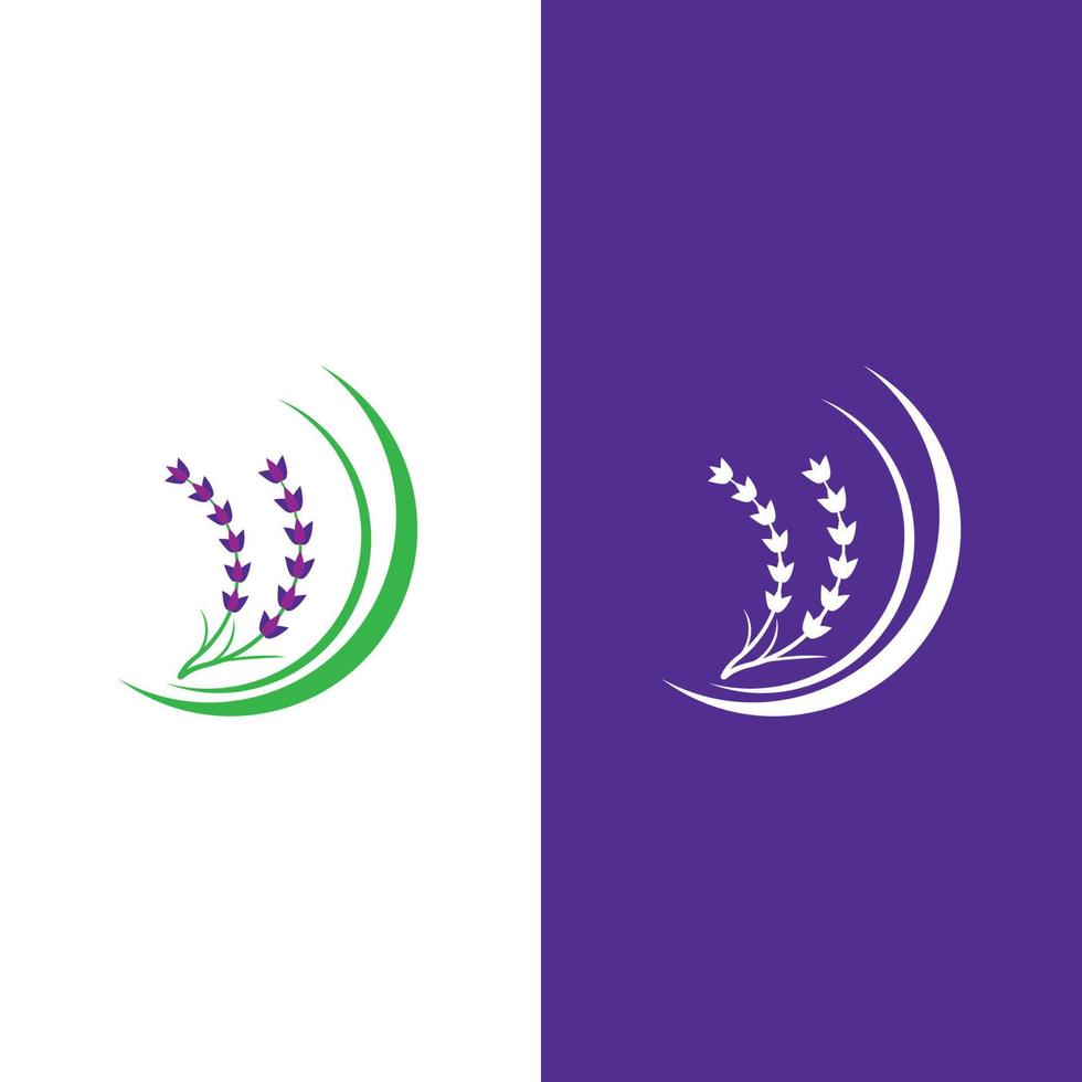 vector de logotipo de flor de lavanda fresca