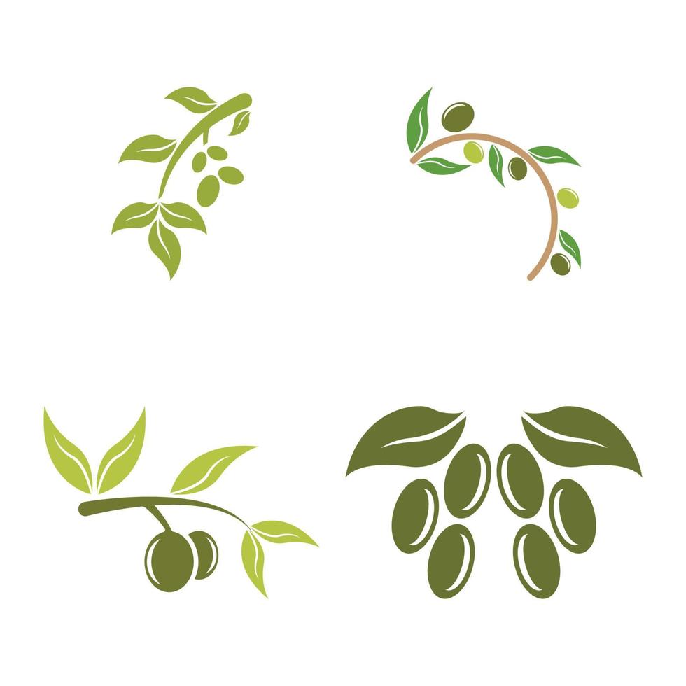 olive icon vector illustration design