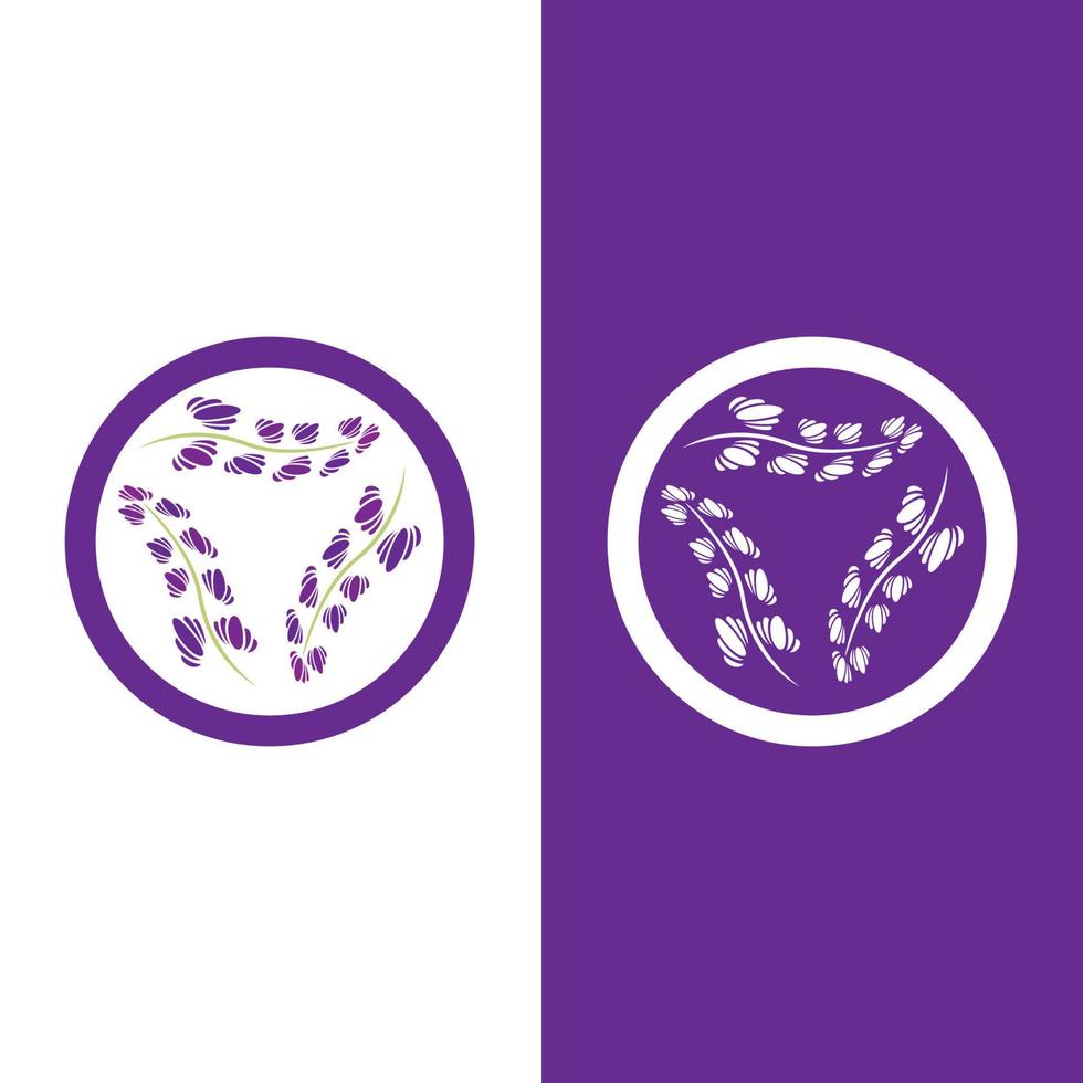 Fresh Lavender flower logo vector