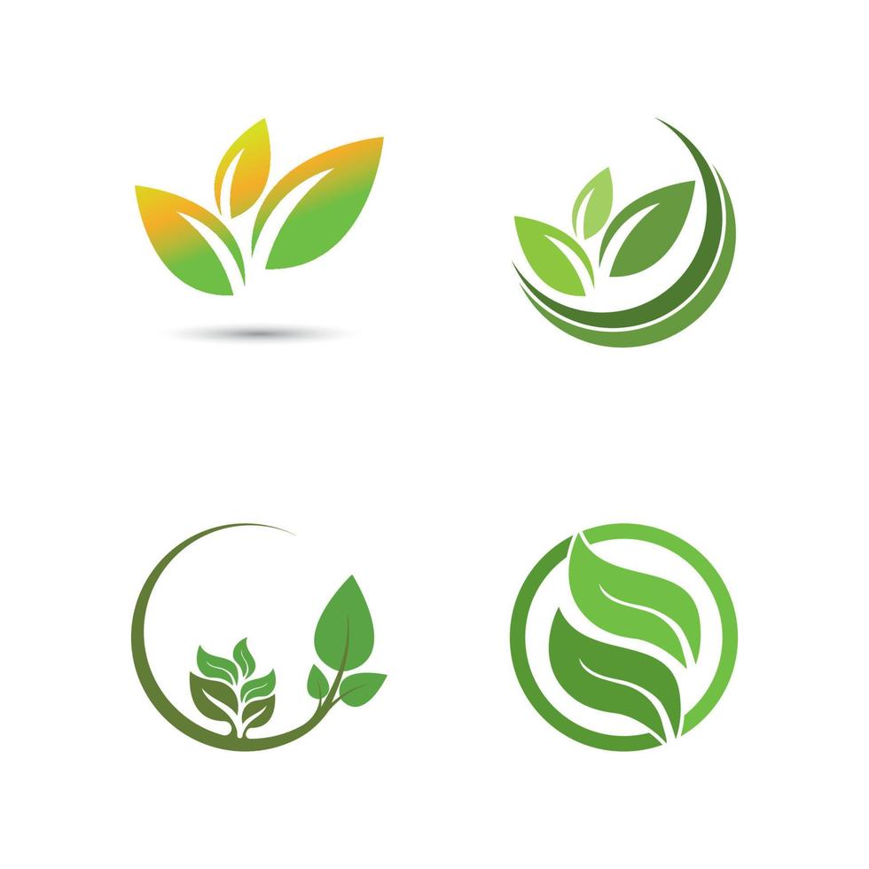 Logos of green Tree leaf ecology vector