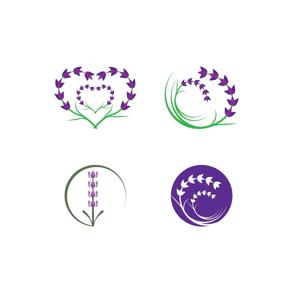 vector de logotipo de flor de lavanda fresca