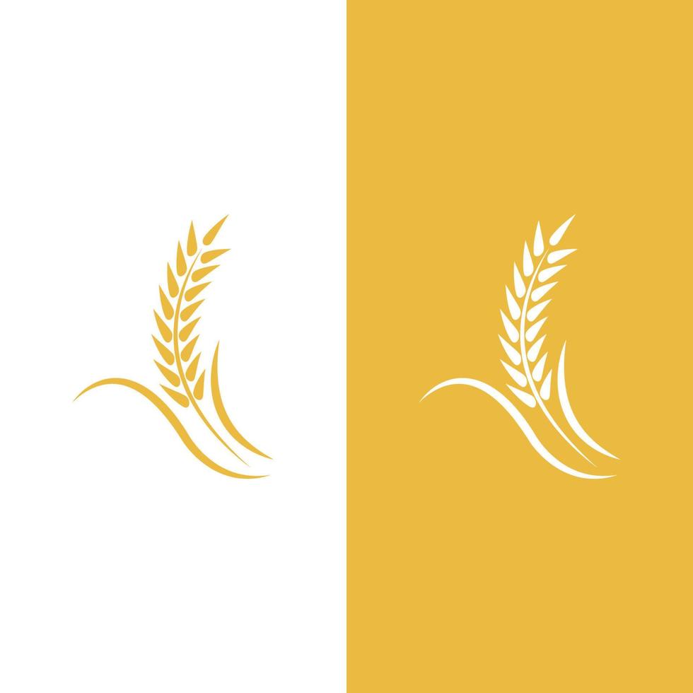 Wheat logo vector icon illustration