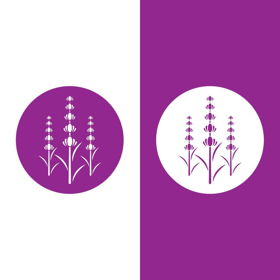 Fresh Lavender flower logo vector