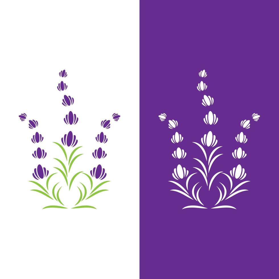 vector de logotipo de flor de lavanda fresca