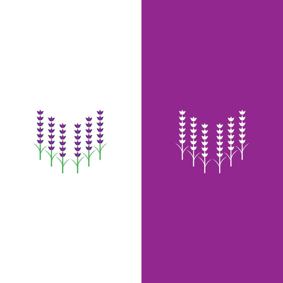 Fresh Lavender flower logo vector