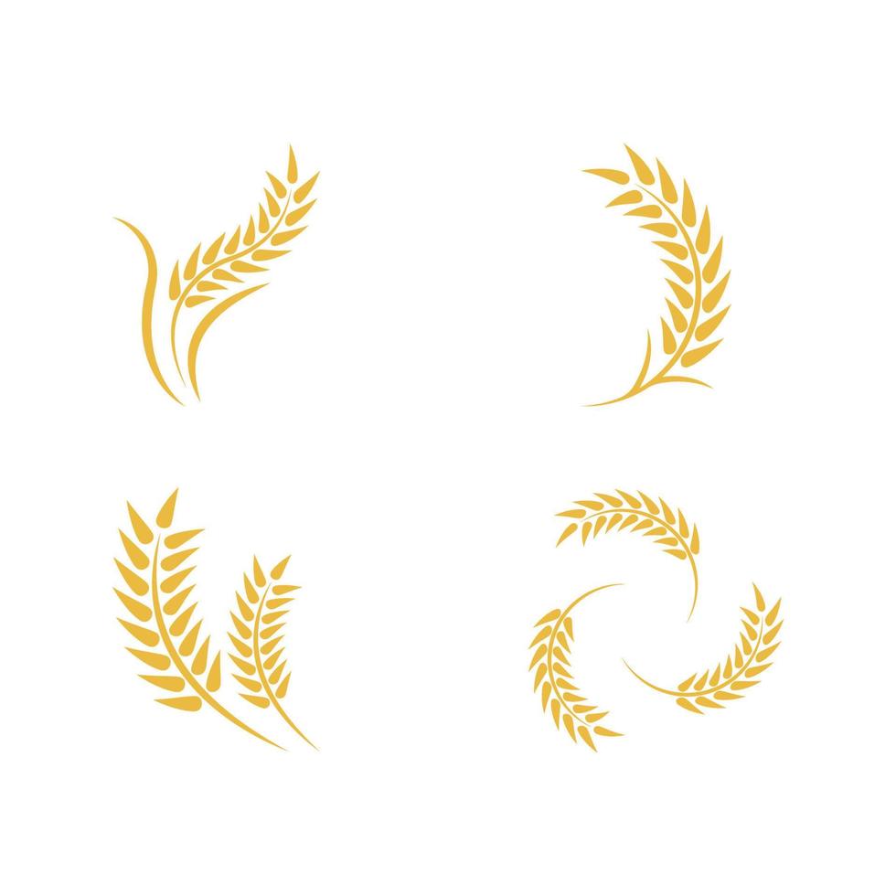 Wheat logo vector icon illustration