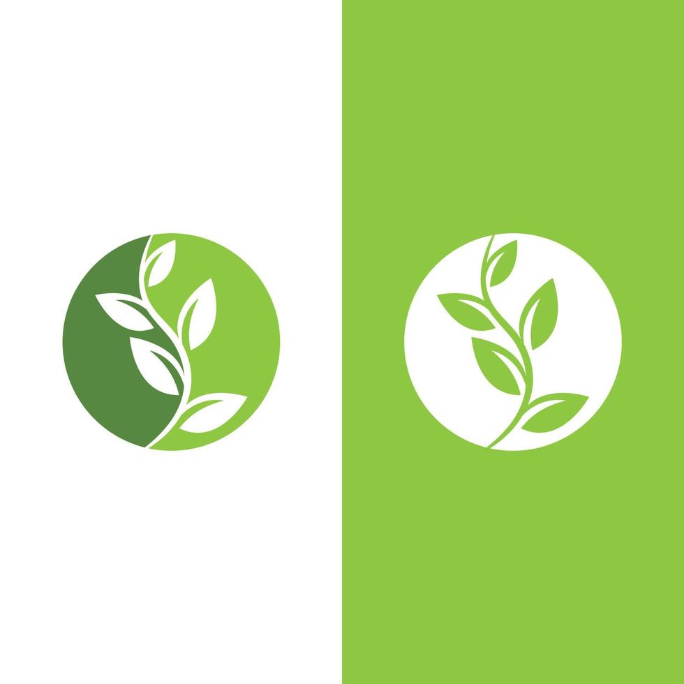 logotipos de la ecología de la hoja del árbol verde vector