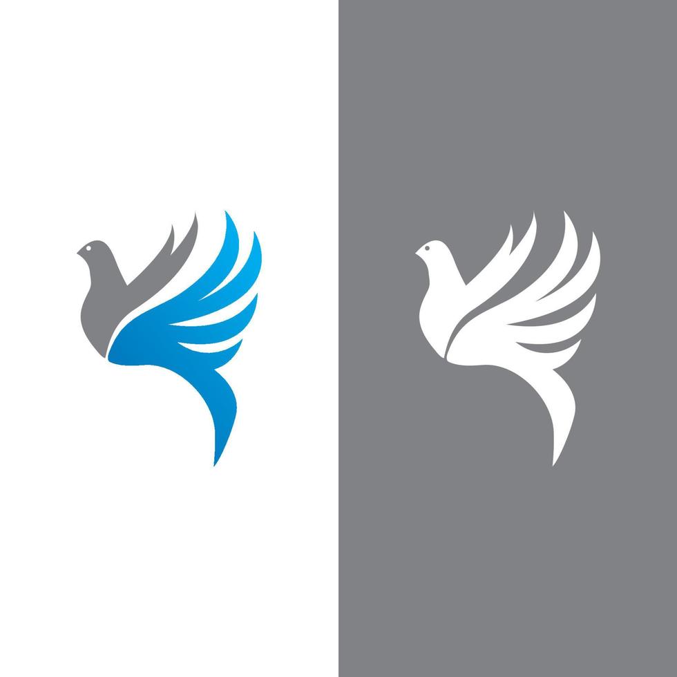 Dove bird logo vector design