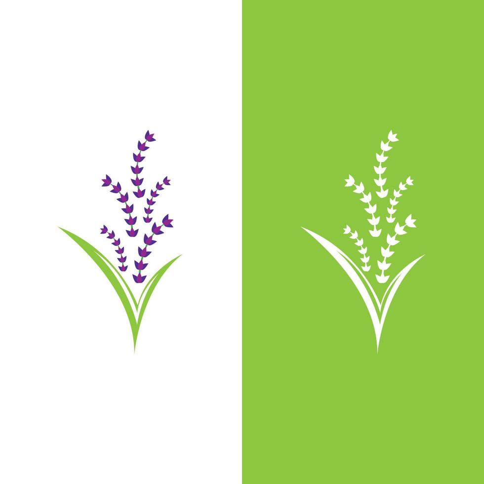 vector de logotipo de flor de lavanda fresca