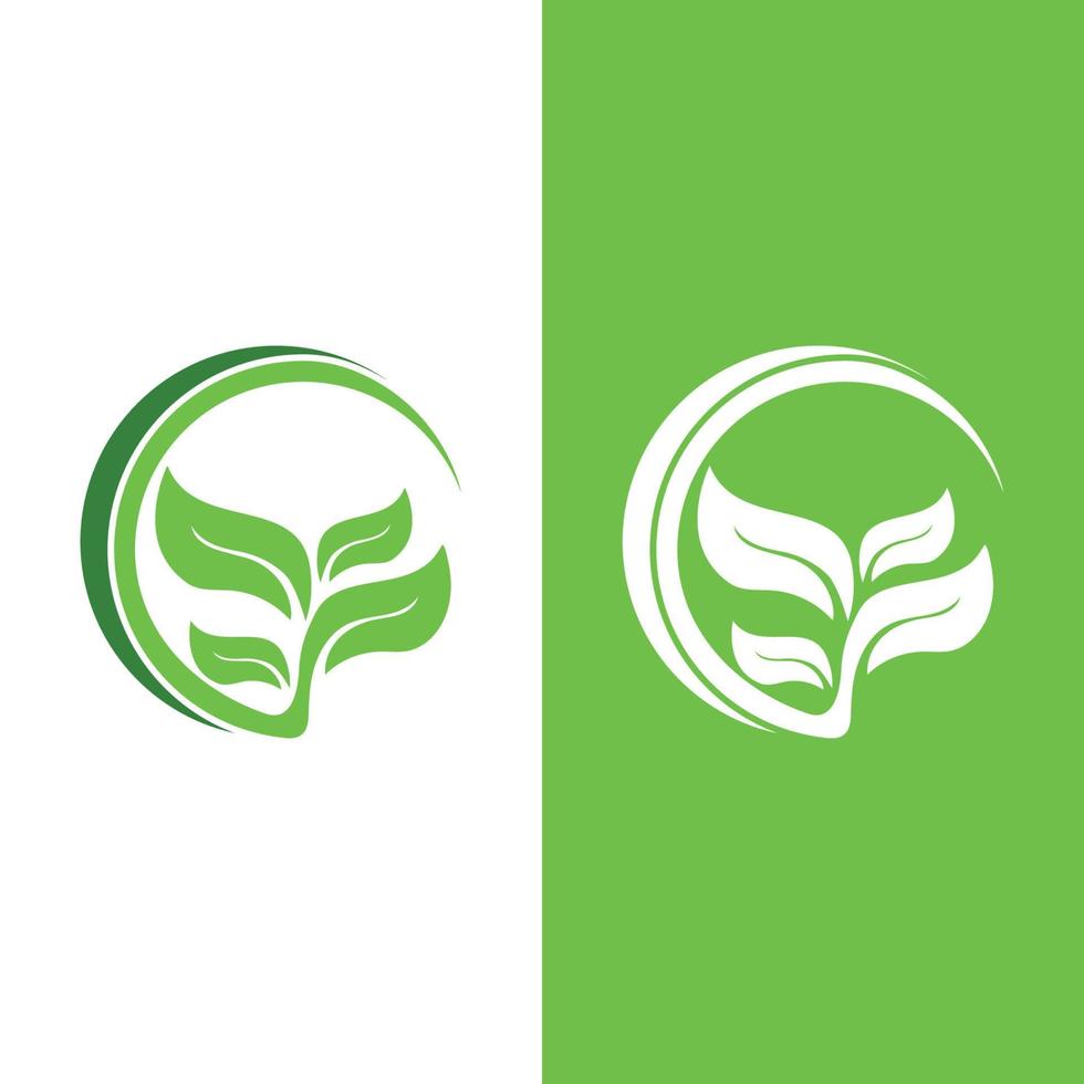 logotipos de la ecología de la hoja del árbol verde vector