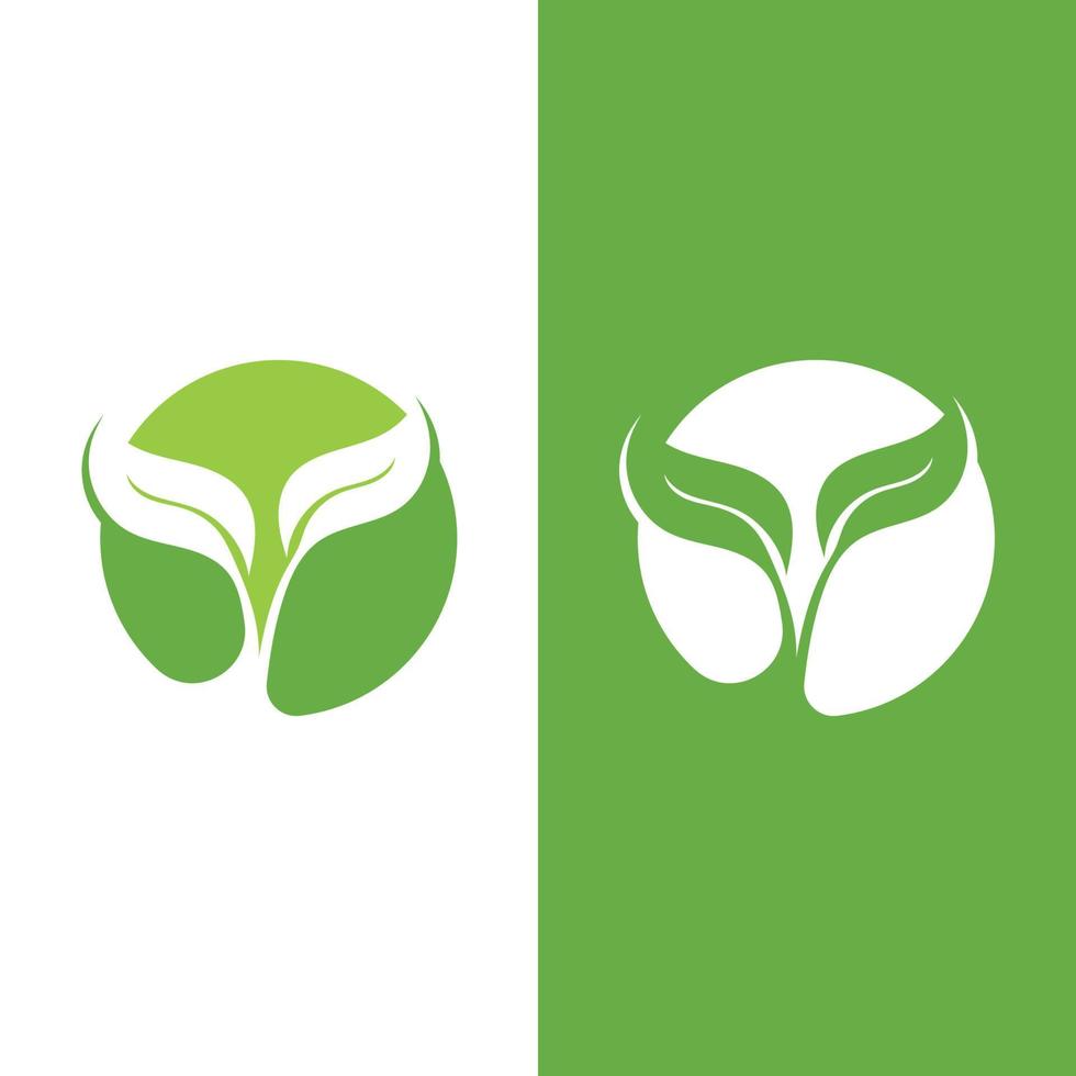 logotipos de la ecología de la hoja del árbol verde vector