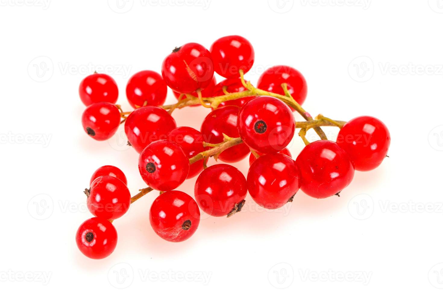 Sweet tasty fresh Red currant photo
