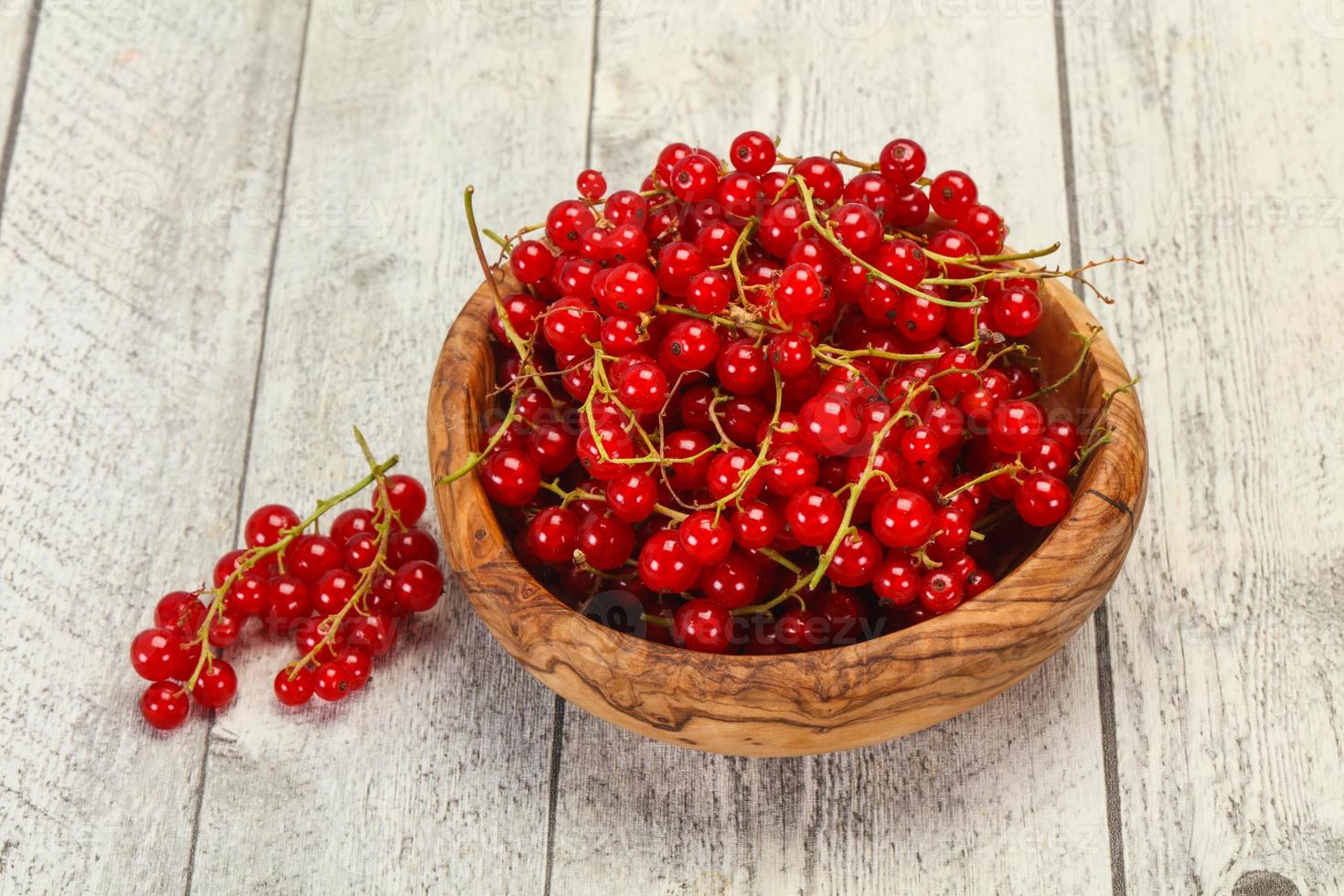 Sweet tasty fresh Red currant photo