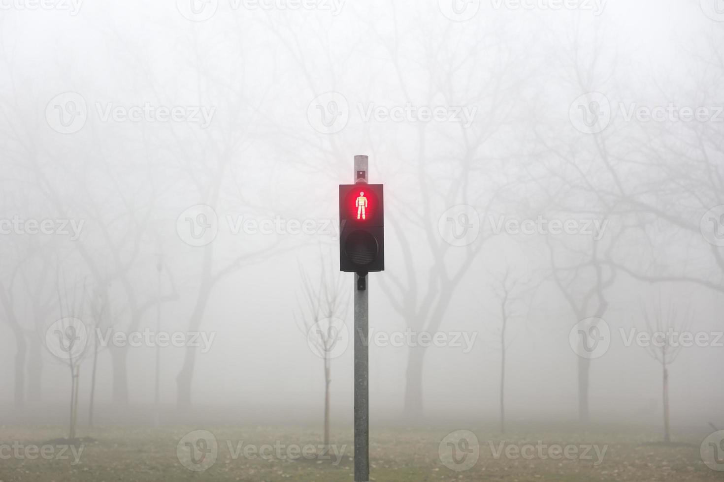 Trafic lights in the foggy winter day photo