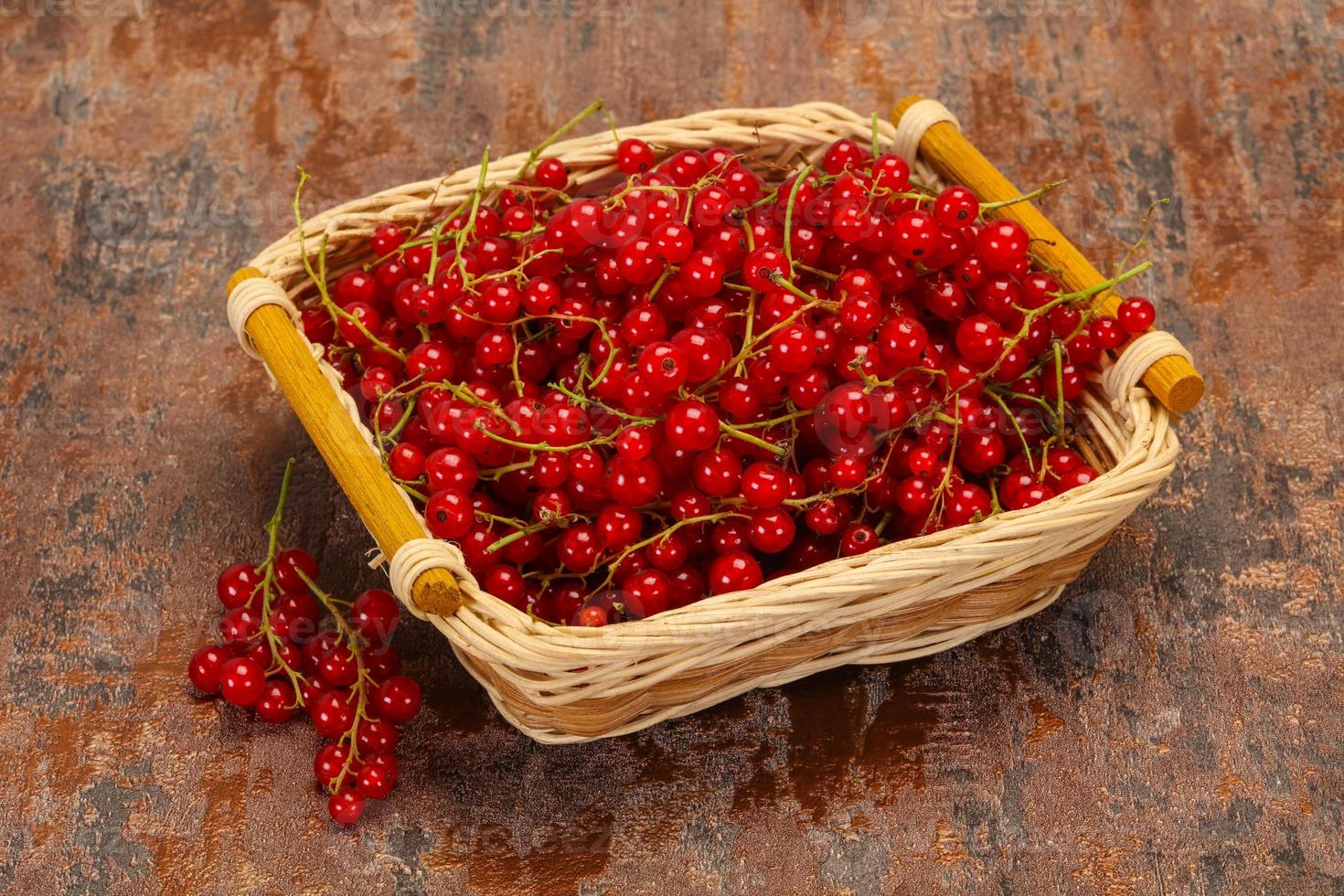 Sweet tasty fresh Red currant photo